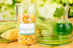 Forda biofuel availability